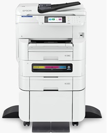 Epson C821B (EM-C8100)