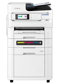 Epson C811B (EM-C8101)